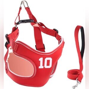 Red Dog Harness with Number 10